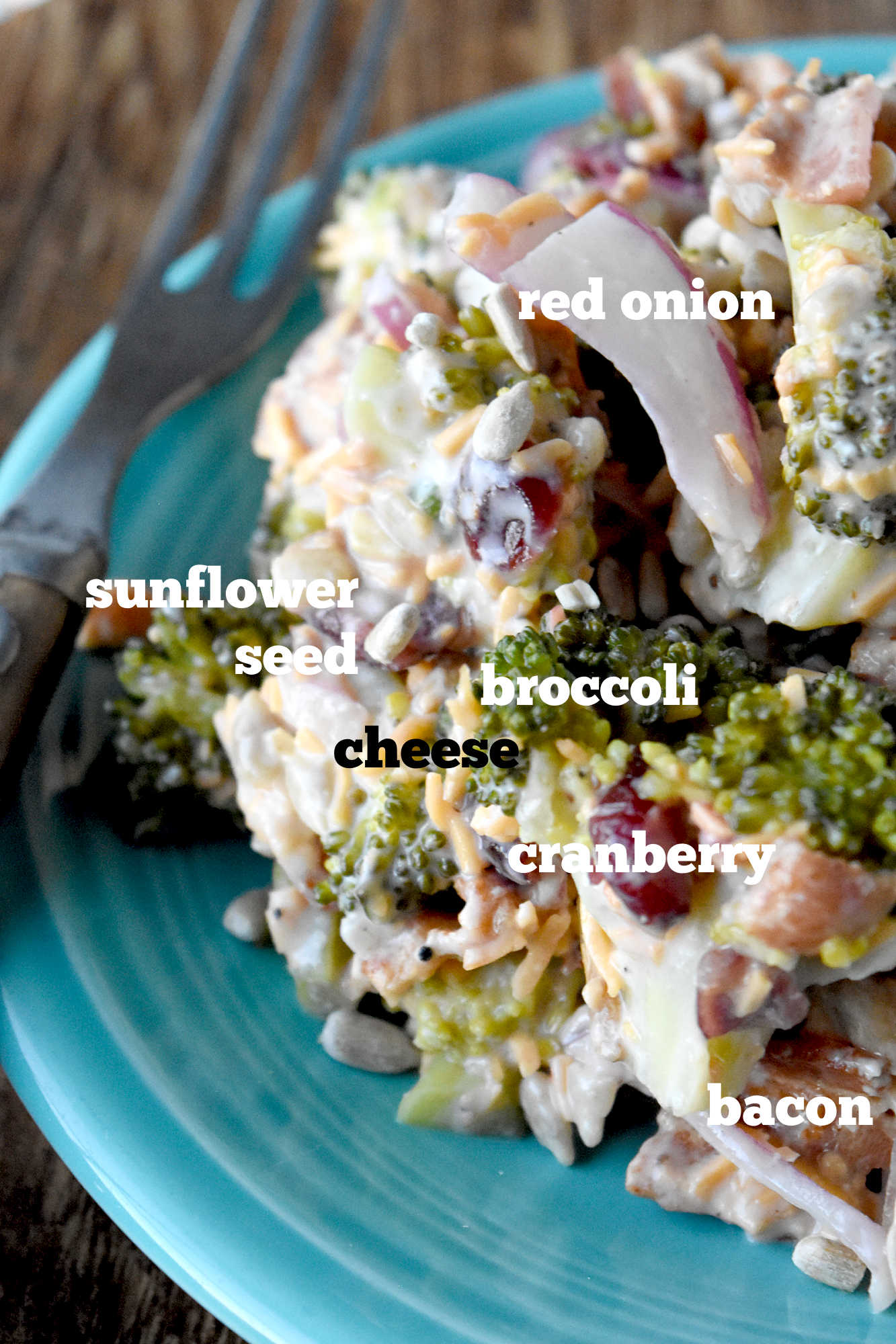 Skip the boring side salads and try this Creamy Broccoli Salad instead! Bursting with flavor and nutrients, it's the perfect accompaniment to any holiday meal. #healthyeating #creamysalad #cleaneating #broccolisalad #SaladLoversUnite #VeggieDelight  #EatYourGreens #holidaysidedish #sidedishrecipe #sidesalad
